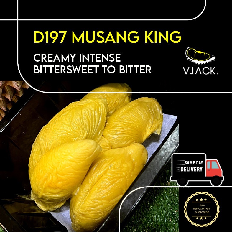 [Same Day Delivery] Pahang MSW Old Tree (500g Each Box) Durian